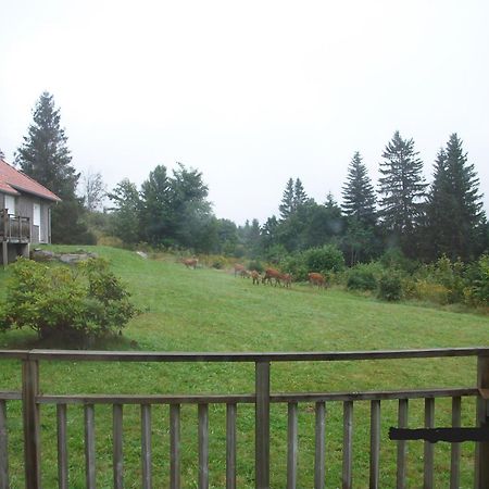 Les Angeliques Gérardmer Exterior foto